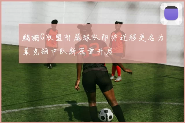 鹈鹕G联盟附属球队即将迁移更名为莱克顿中队新篇章开启